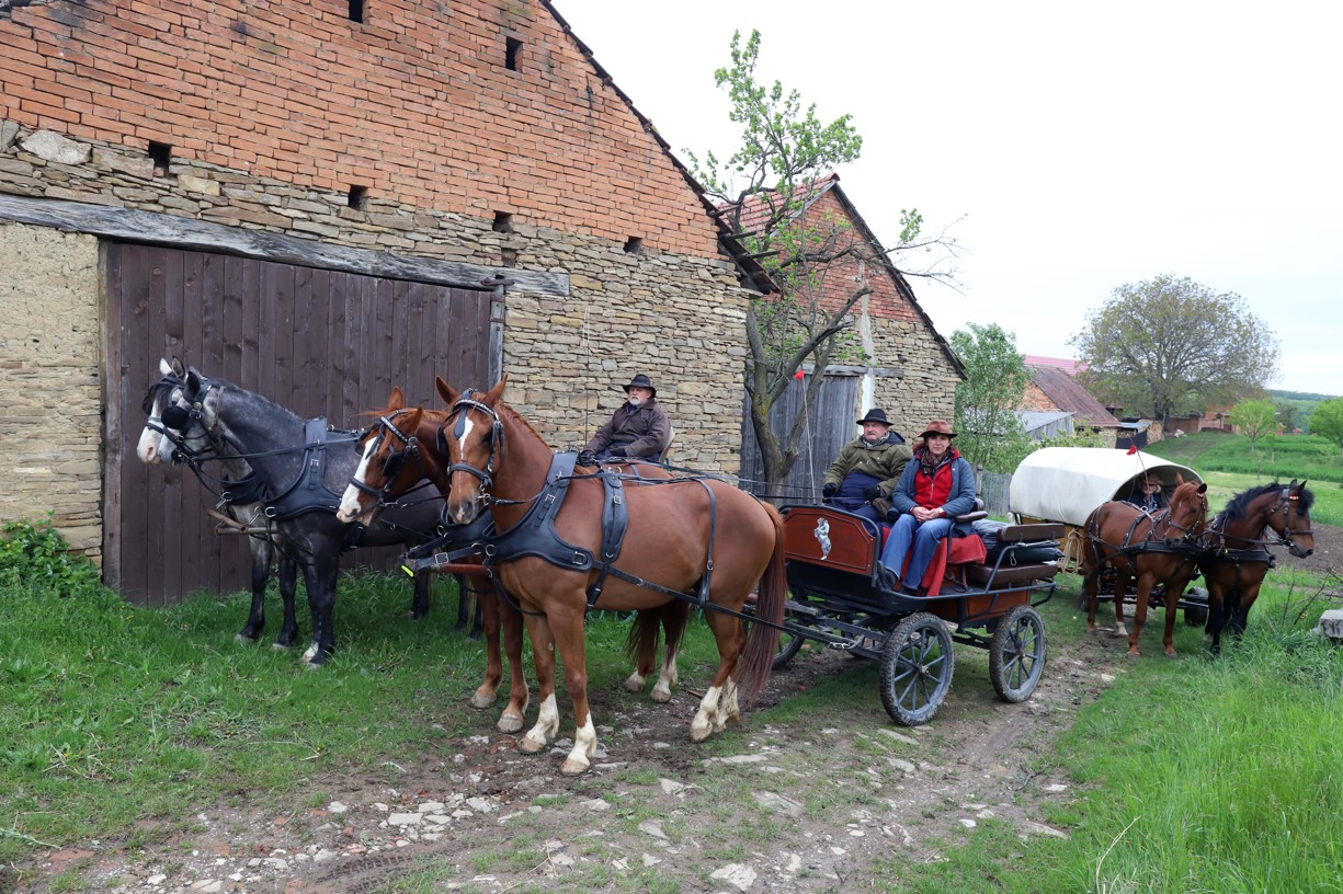 Koňské vozy vyjížděly od historických stodol v Hrubé Vrbce