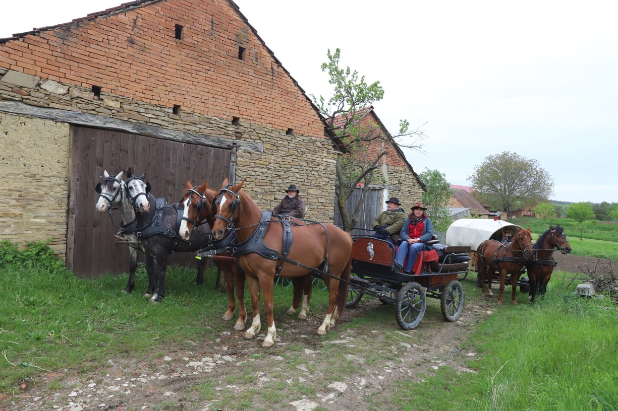 Koňské vozy vyjížděly od historických stodol v Hrubé Vrbce