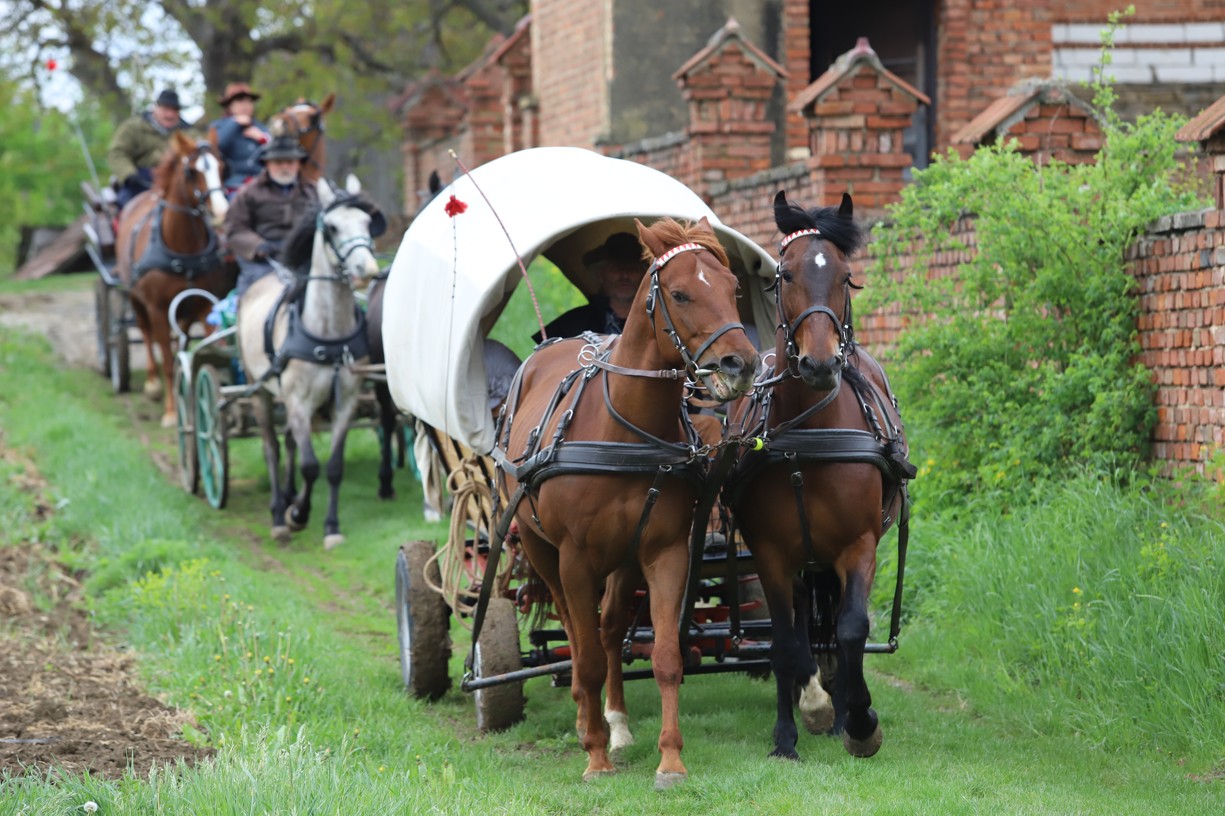 Koňské vozy se na cestu vydaly od historických stodol v Hrubé Vrbce