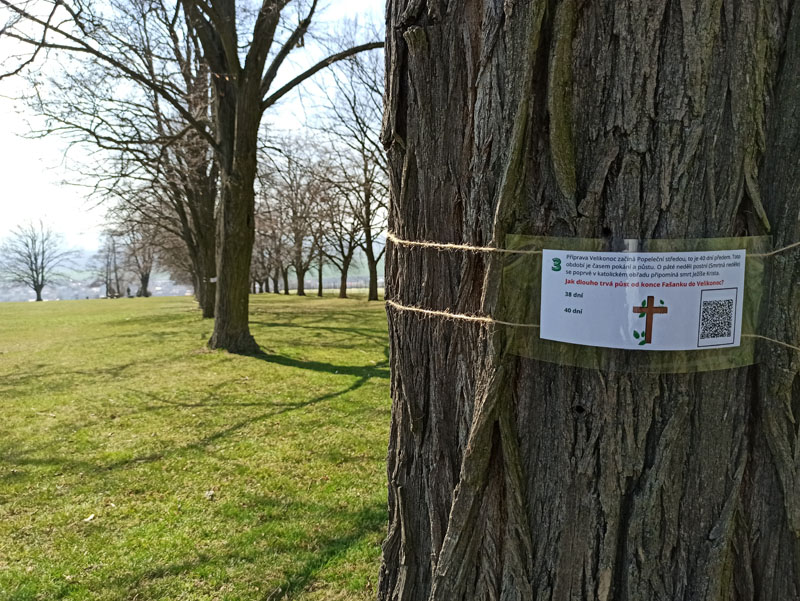 Na stromech v aleji je instalována Velikonoční stezka, která poučí i pobaví