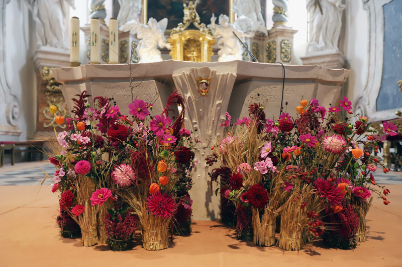 Výstava květin s názvem: Bazilika v květech naděje