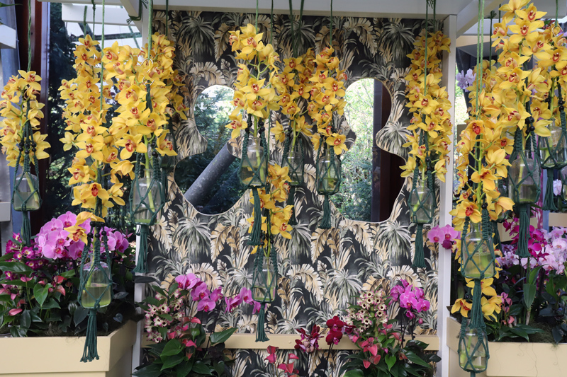 Pavilon Beatrix byl věnovaný orchideím