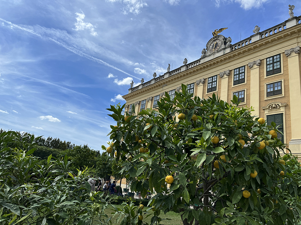 Oranžerie zámeckého parku Schönbrunn.