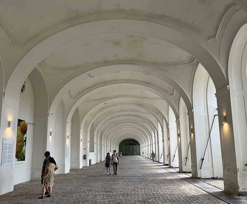 Oranžerie zámeckého parku Schönbrunn.