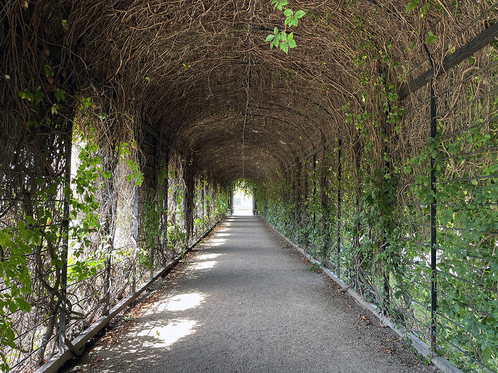 Oranžerie zámeckého parku Schönbrunn.