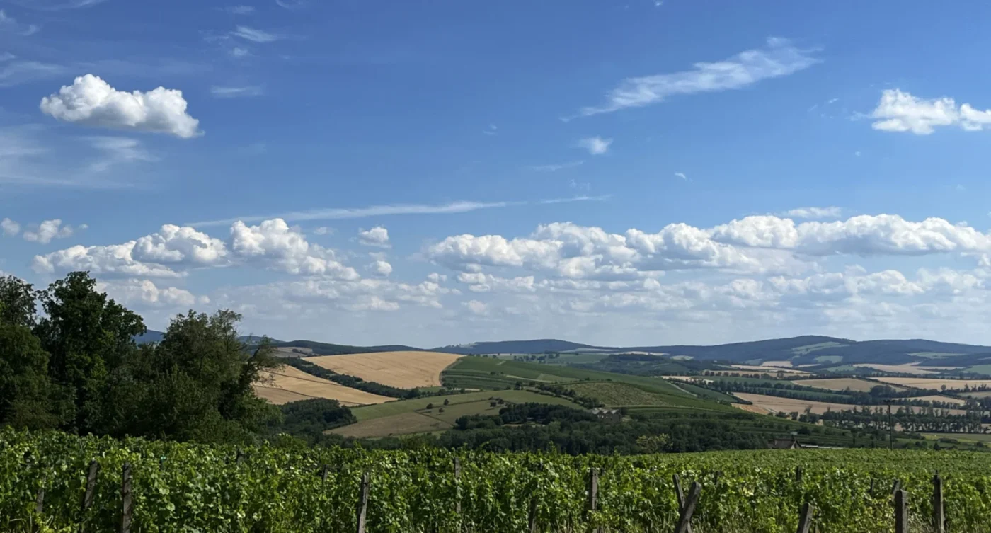 Pohled přes blatnické vinohrady na Horňácko a pohoří Bílých Karpat.