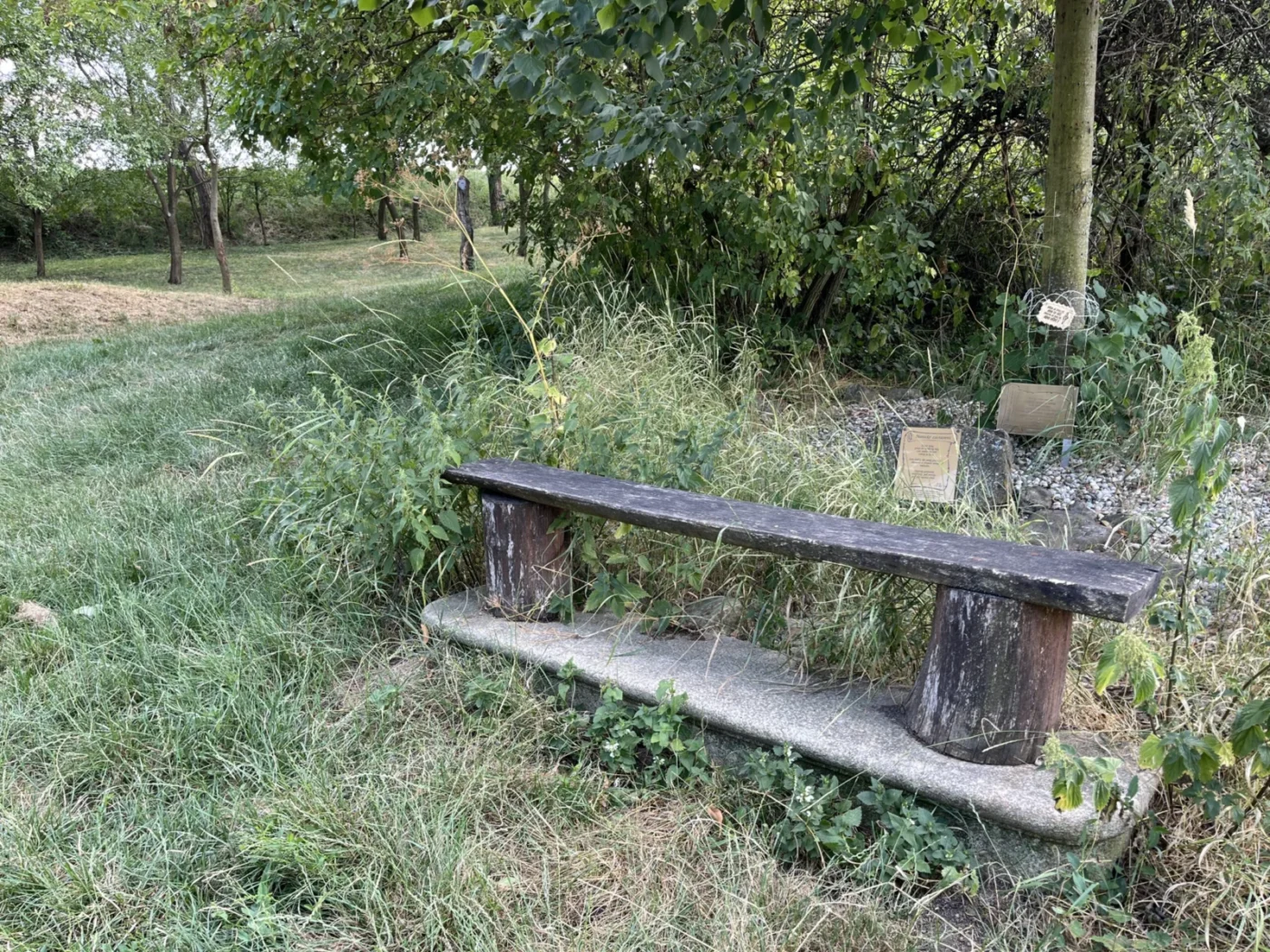 Poetické zastavení nedaleko silnice nabízí i posezení. 