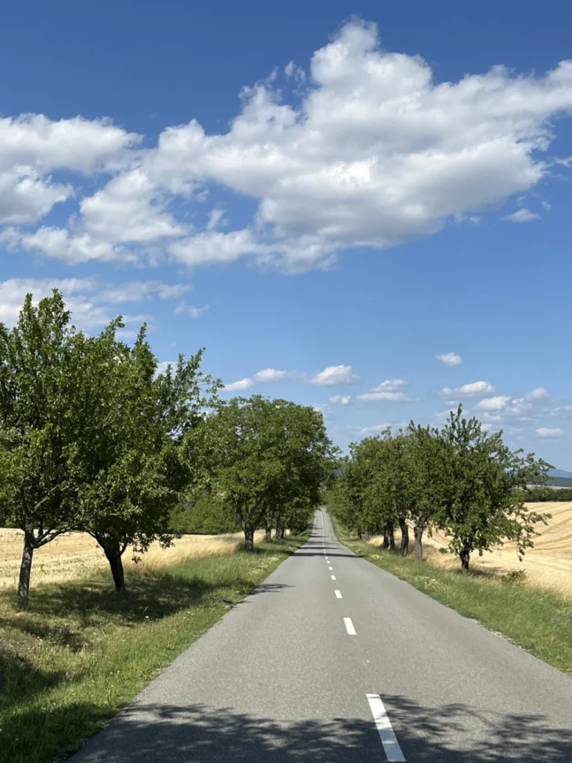 Cesta z Antonínku ke studánce a Poetickému zastavení. 