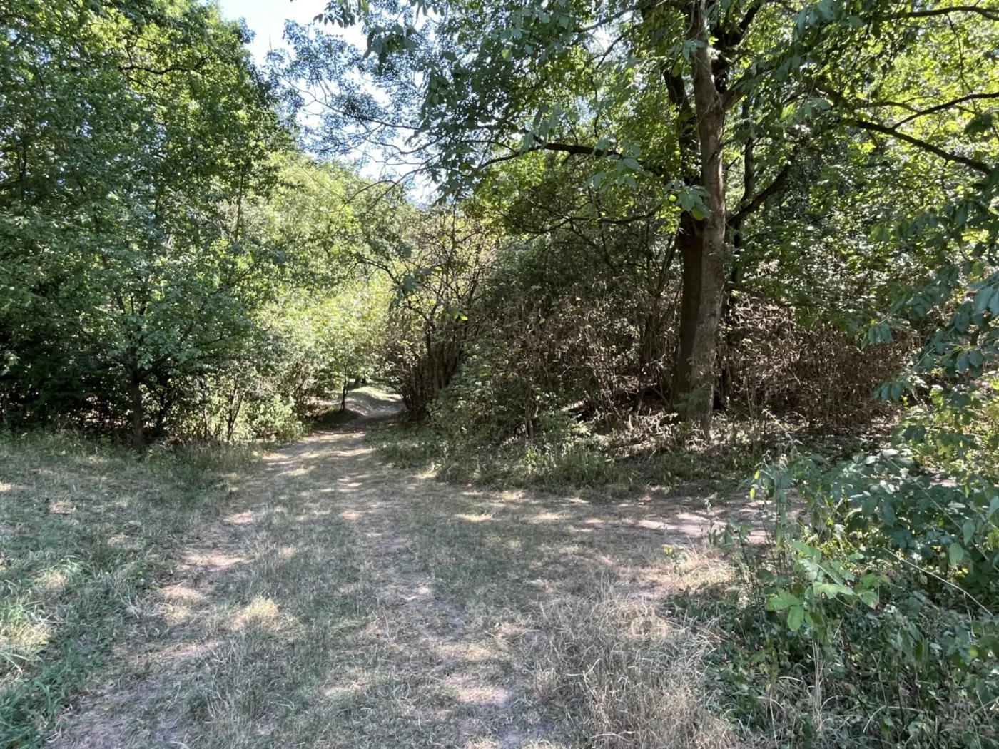 Rozcestí, odkud lze jít ke studánce nebo do Ostrožské Lhoty. 