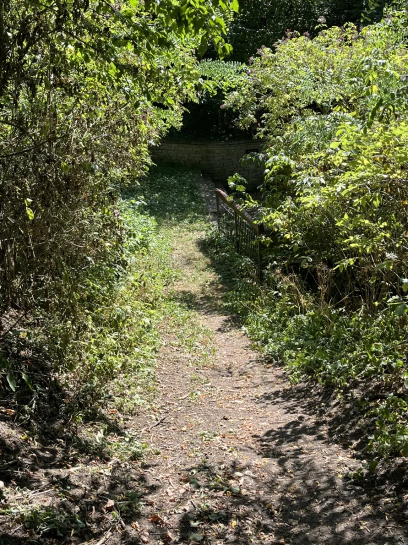 Cesta ke studánce. 