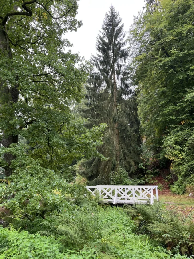 Anglický park má rozlohu téměř 100 hektarů, patří k největším v zemi a jsou v něm rybníky, vyhlídkové altány i novogotická kaple.