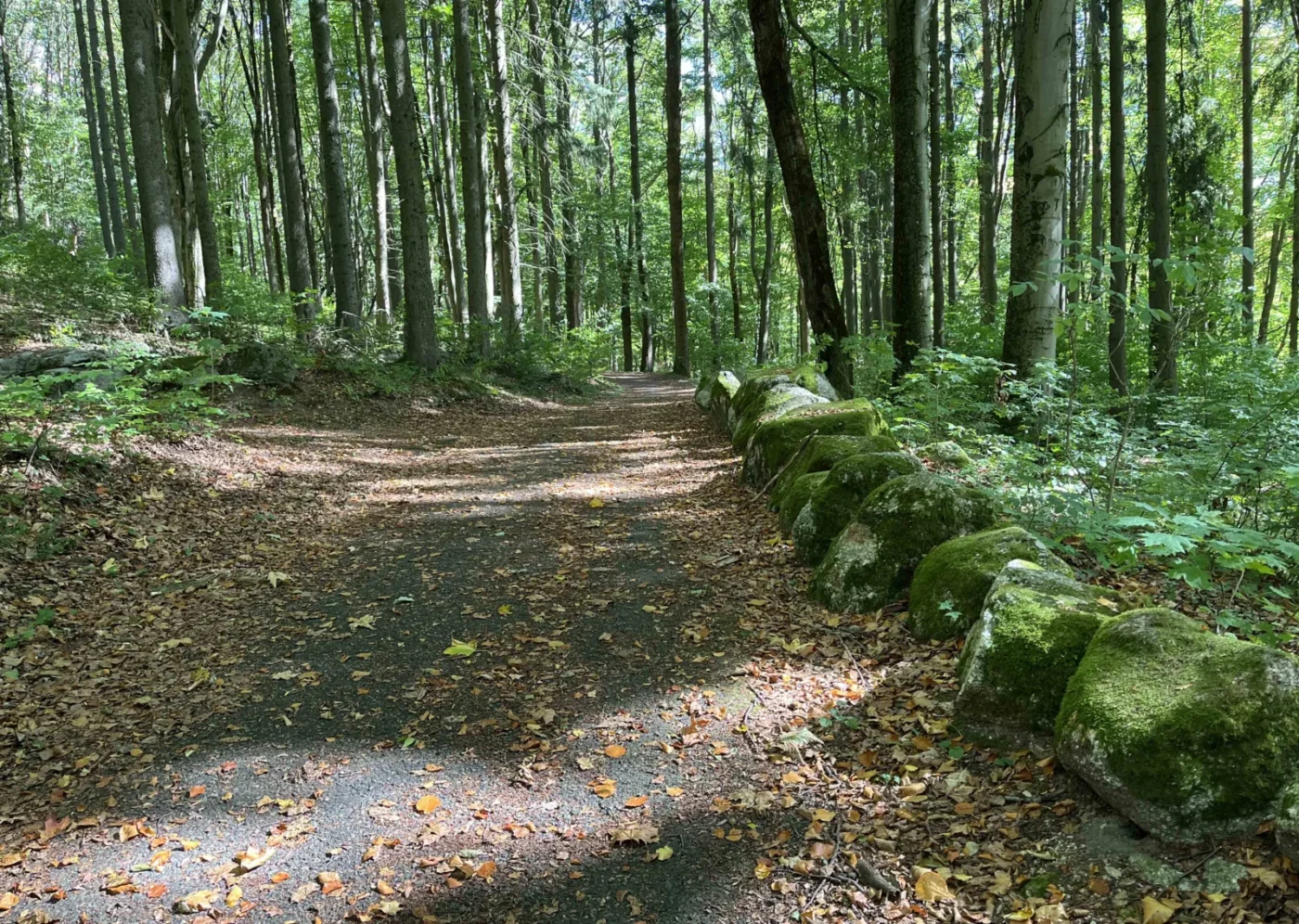 Naučná stezka geologický park. 