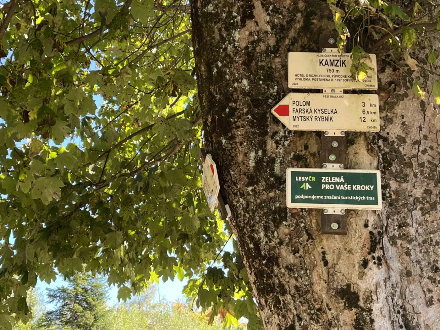 Vzhůru na rozhlednu Kamzík po červené značce. 